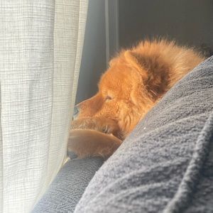 Meet your Posher, Manuel